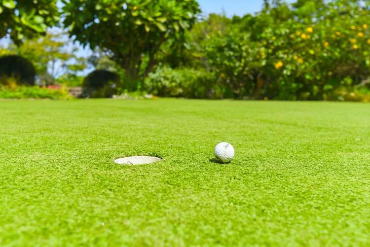 43 Manuka Street Otaki Beach_23