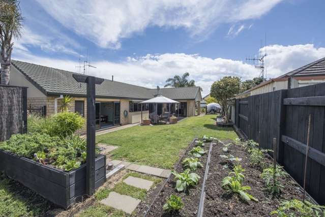 59 Denny Hulme Drive Mount Maunganui_3