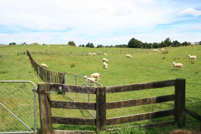 URUTI VALLEY RURAL LIVING OPPORTUNITY