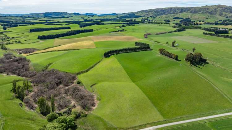 1443 Omihi Road Omihi_21