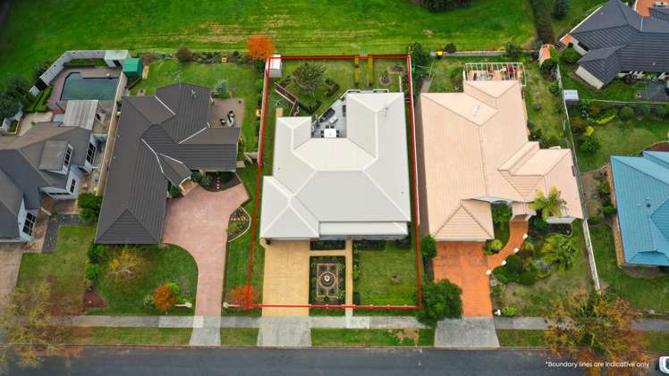 19 Willow Grove Morrinsville_18