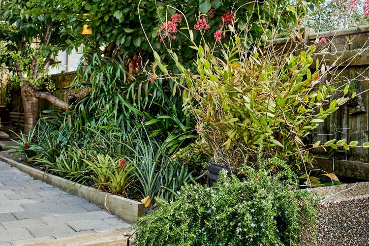 282 Cuba Street Te Aro_7