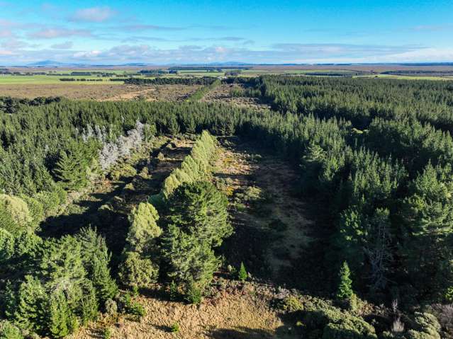 746 Lawson Road Awarua_3