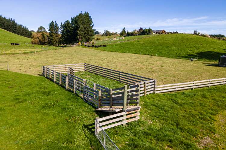 211 Sercombe Road Geraldine_16