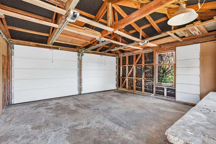 11 Kiwi Street Bird Area_15