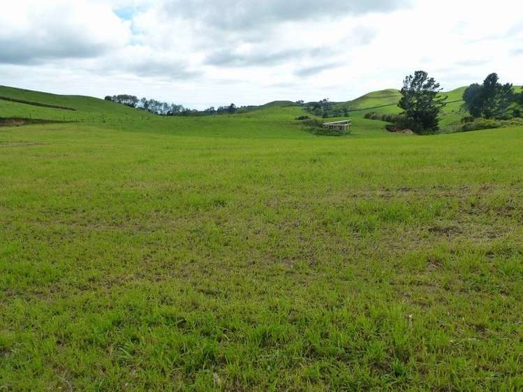 1265 Mountain Road Inglewood_25