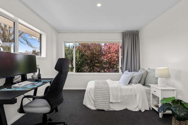 19 Eglinton Street Avondale_13