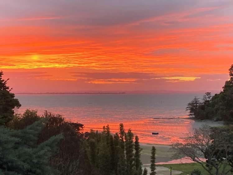 80 Warner Park Avenue Laingholm_18