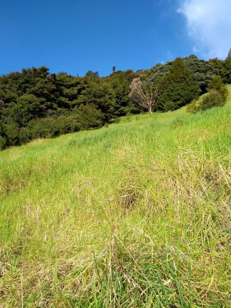 1708 Russell Road Hukerenui and Surrounds_10