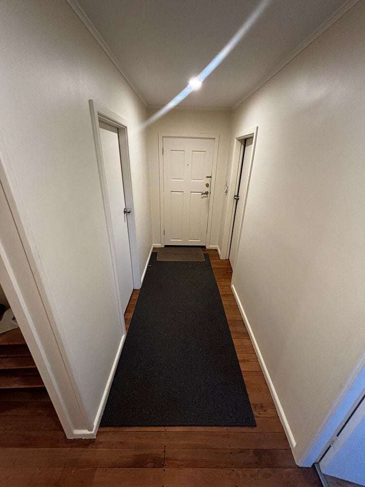 23 Camden Street Redwood_5