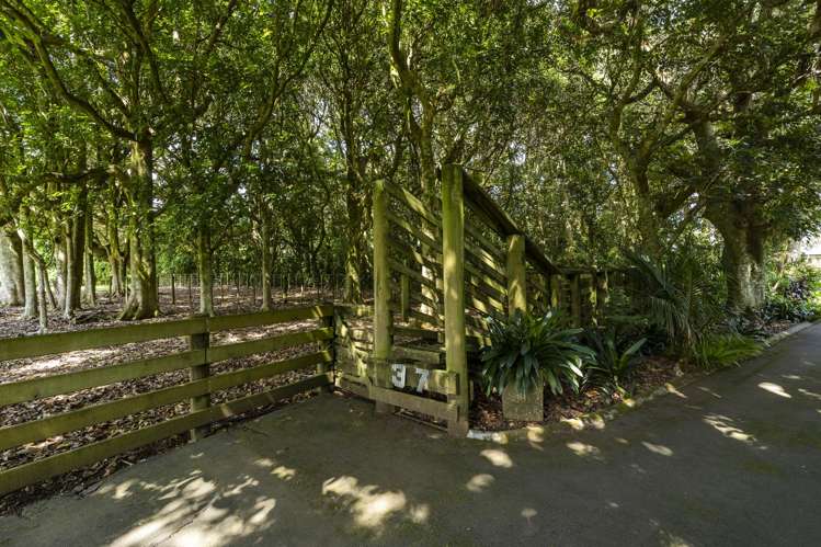 37 Kara Road Maungatapere_36