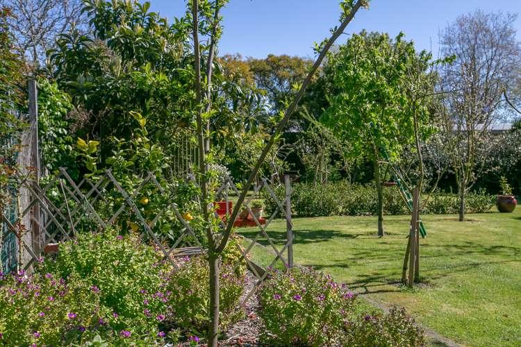 128 Cole Street Masterton_19