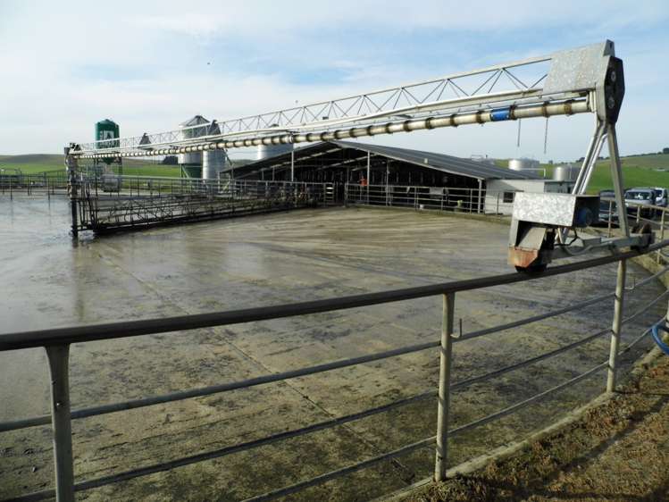 277 Cowans Road Enfield and Surrounds_6