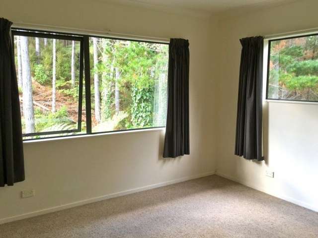 40 Schollum Access Road Warkworth_4