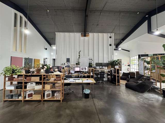 21 Scanlan Street Grey Lynn_3