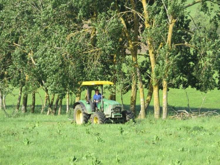 114 Pukekapia Road Ruawaro_9