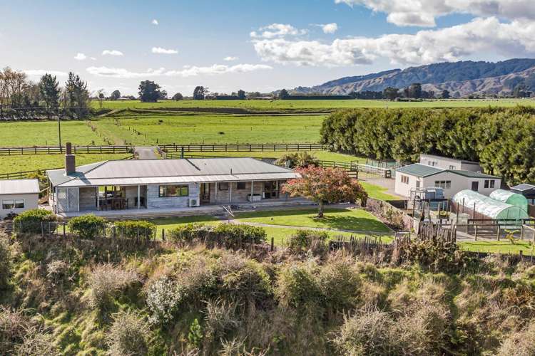 382 Kimberley Road Levin_19