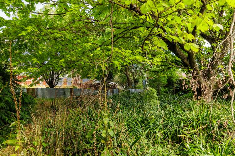 9 Anderson Street Eketahuna_7