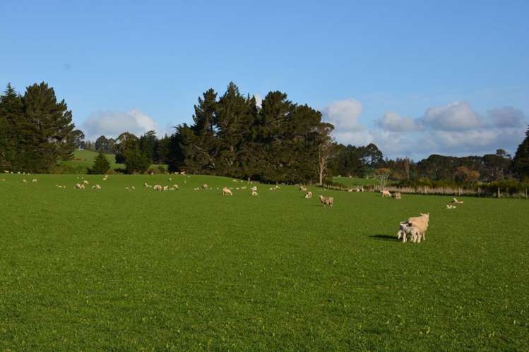 1551 Owaka Valley Road Catlins Surrounds_12