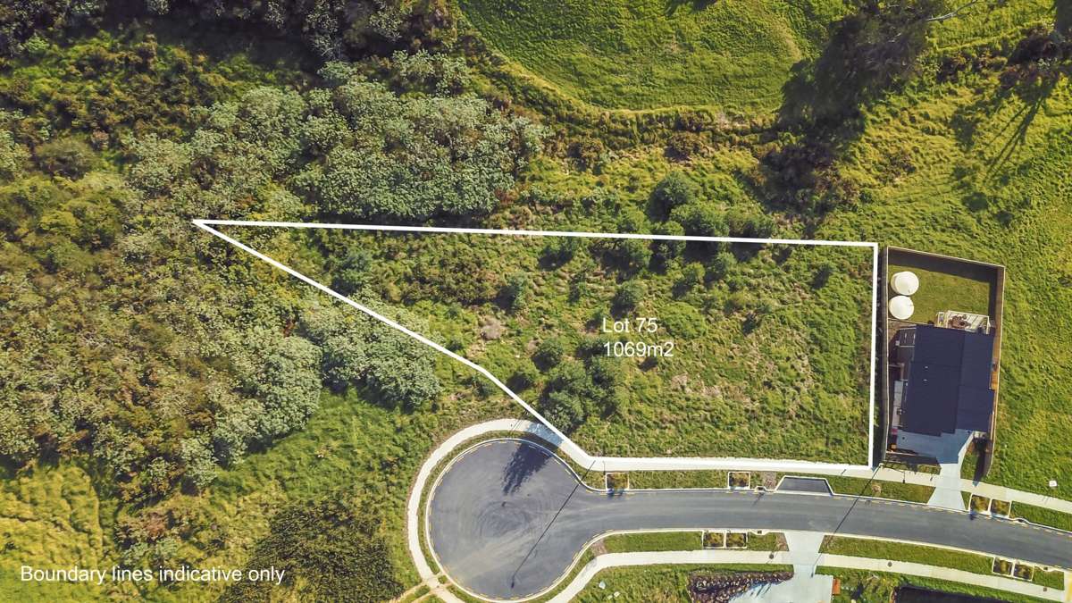 151 Rautawhiri Road_2