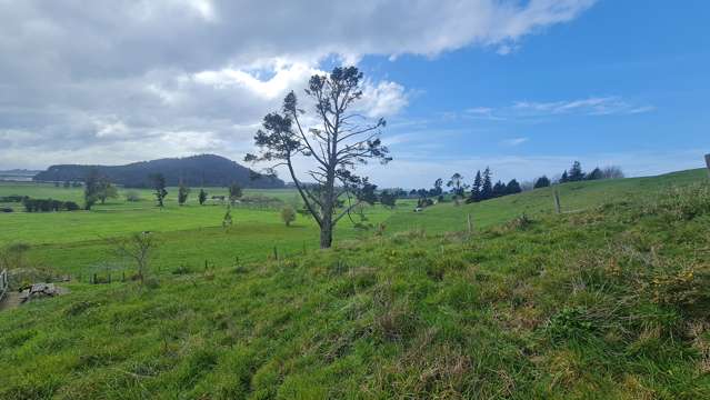 31 Arapeta Place Takaka_4