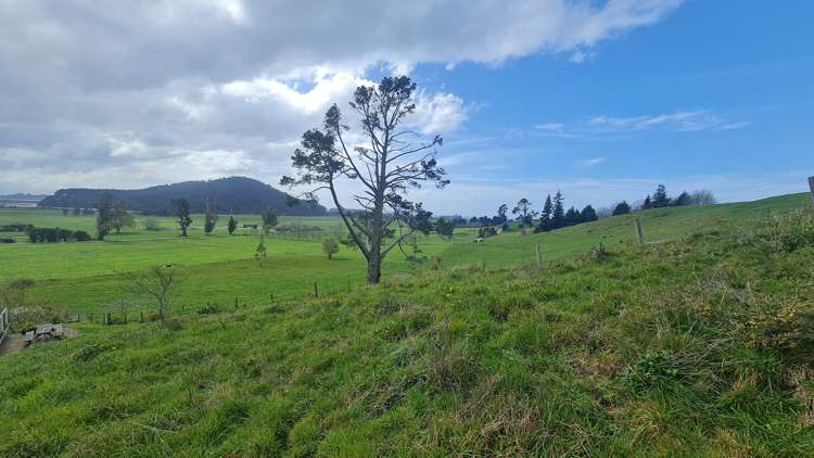 31 Arapeta Place Takaka_4