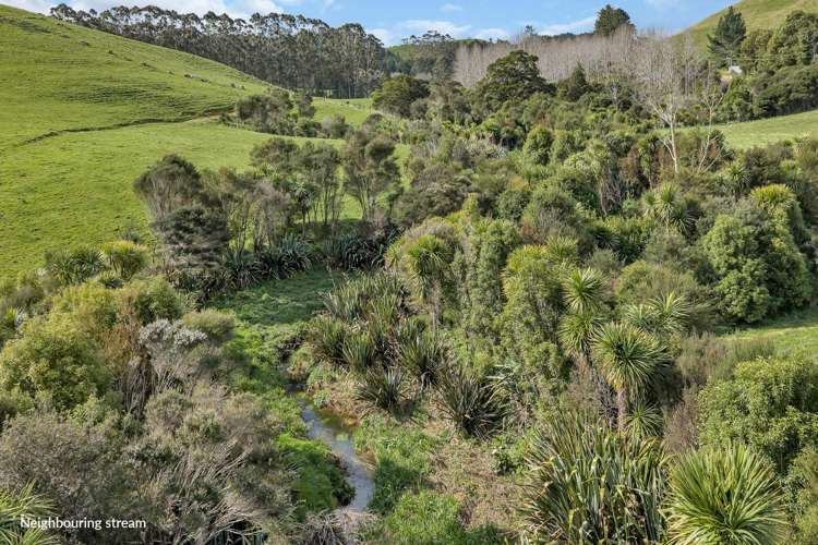 391 Pataua North Road_3