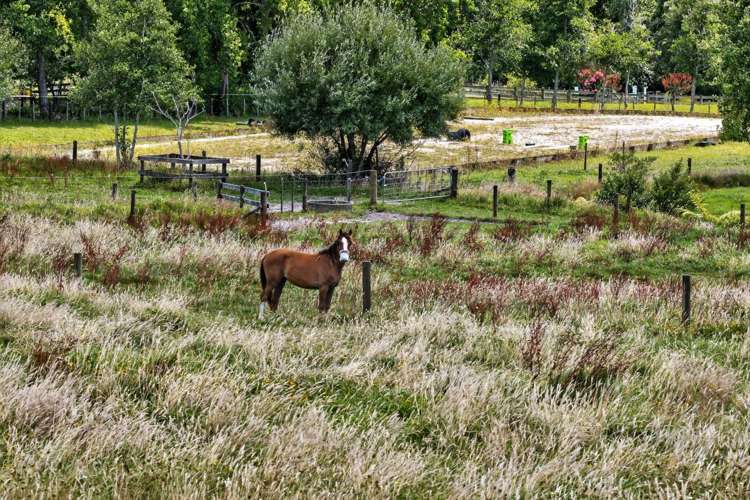 198b Devich Road Mangawhai_32