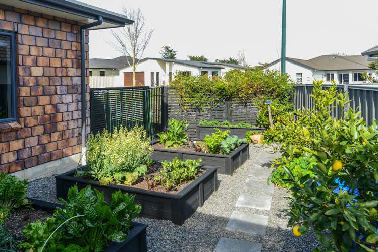 73 Russell Robertson Drive Havelock North_24