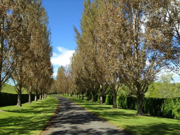 545 Waiwhero Road Ngatimoti_5