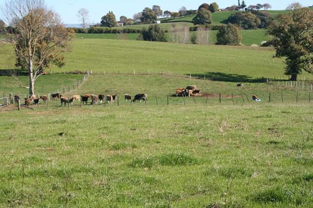 207 Mangaorongo Road Otorohanga_4