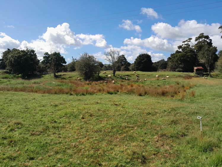 596 Waimate North Road Kerikeri_12