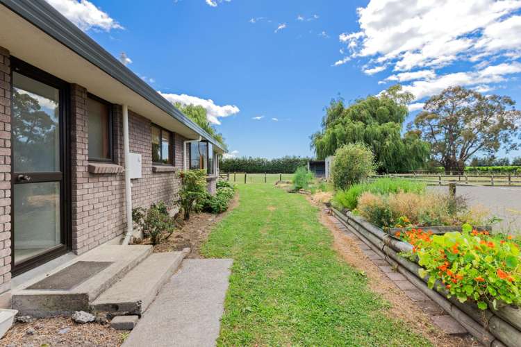 2D Ferry Road Spring Creek_25