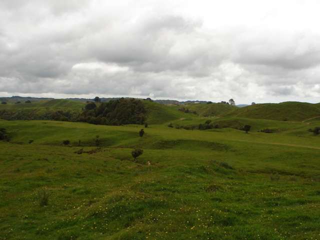 Mahoe Road Waitomo_3