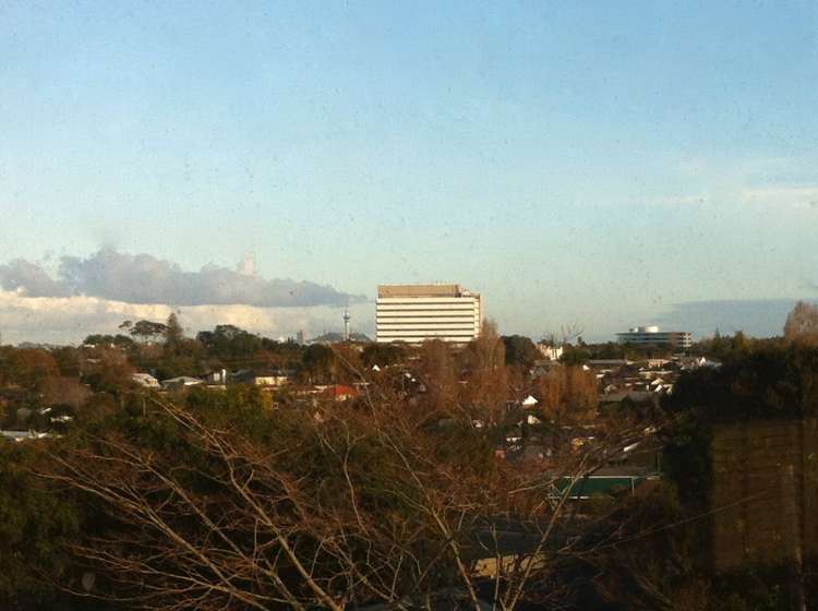 20 Dallinghoe Crescent Milford_3