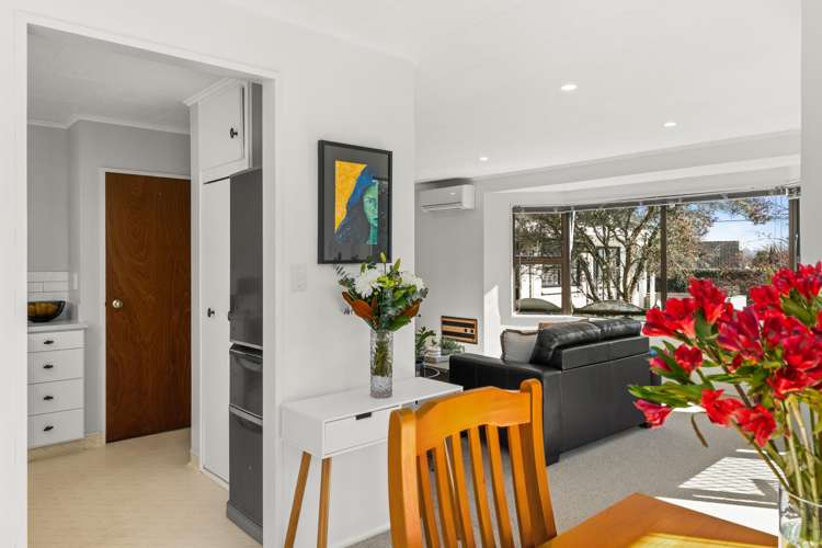 2/46 Campbell Street Havelock North_6