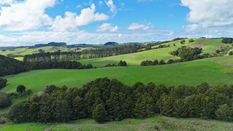 271 Otioro Road_0