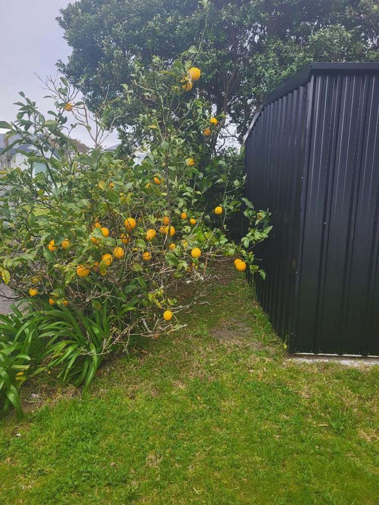 169 Kowhai Avenue Matarangi_16