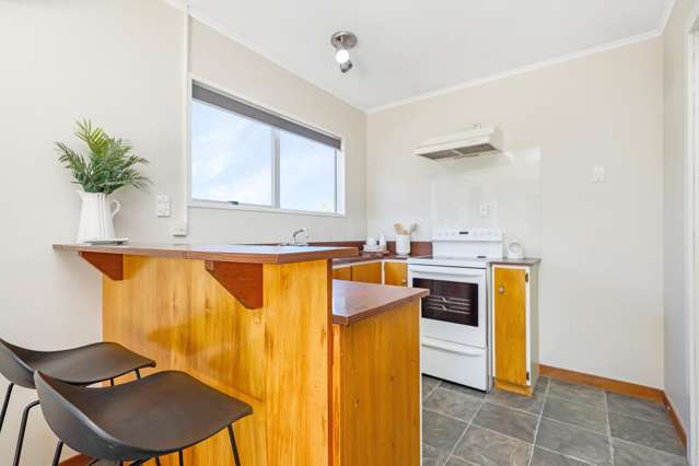172 McMurdo Street Tinwald_4