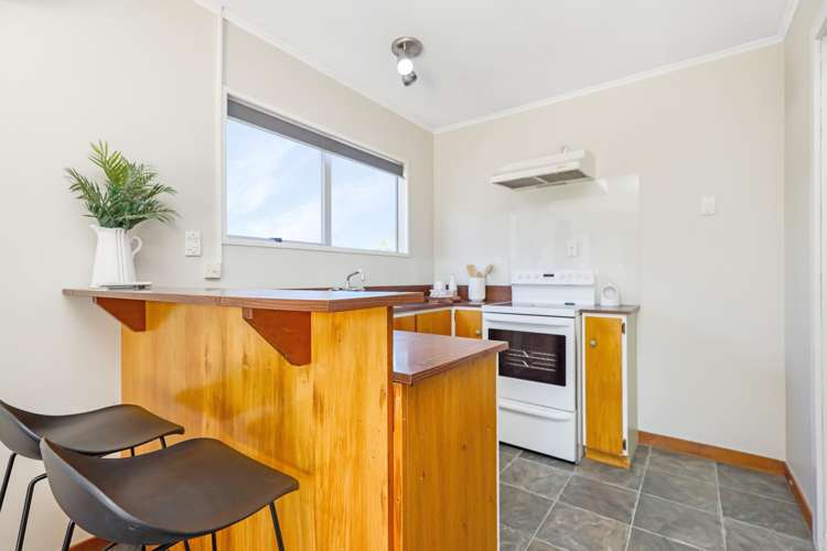 172 McMurdo Street Tinwald_4