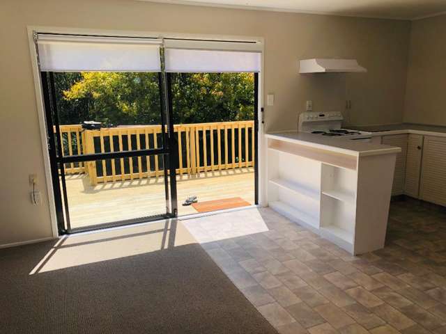 21b Homedale St 1134_3