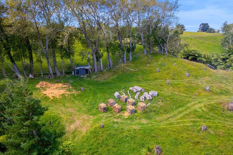 77c Dorset Road Hillsborough_30