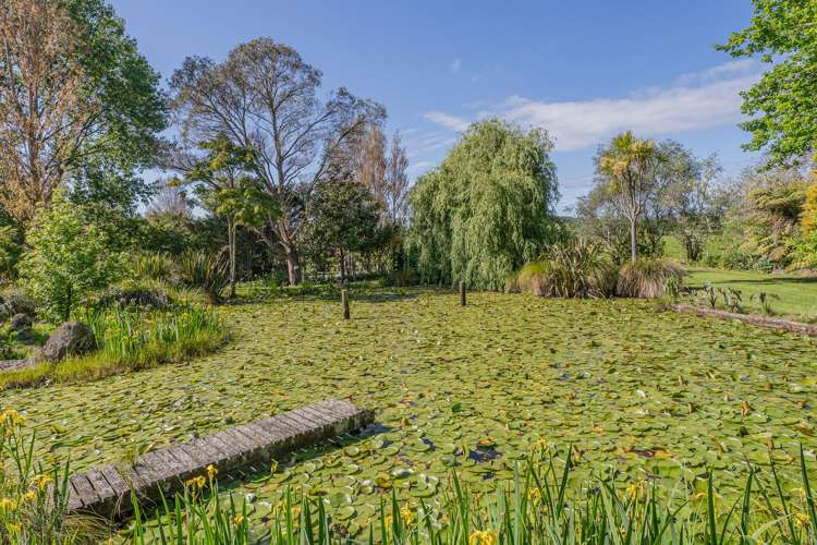 3263 SH 25 Tairua-Whitianga Rd Whitianga_10