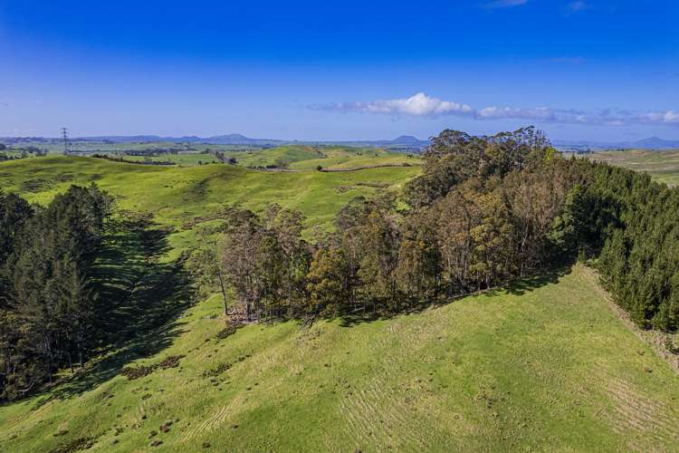 Cnr Milne and Aponga Stream Road Purua_17