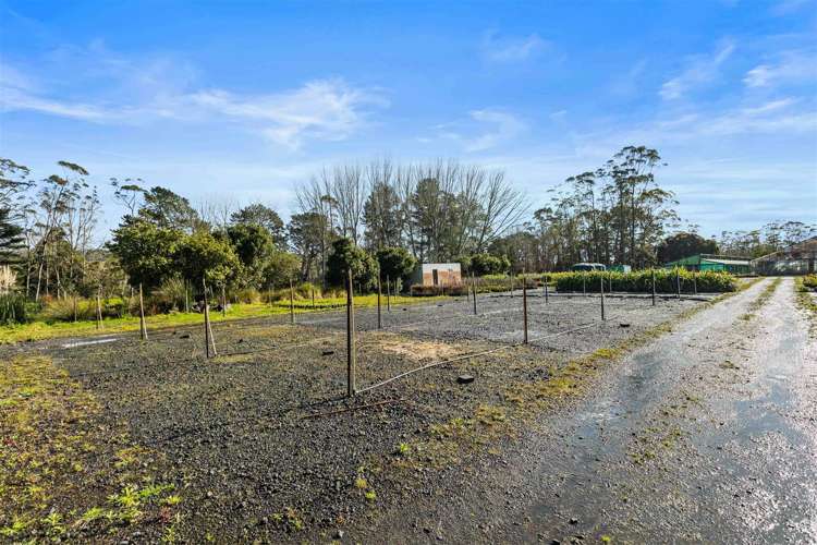 1285 Dairy Flat Highway Dairy Flat_29