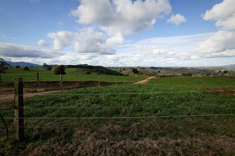 484 Newman Road Wharepuhunga_14