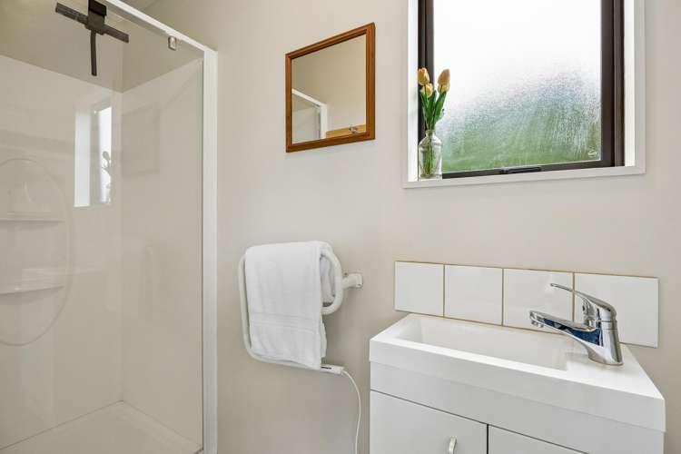 50 Mayfield Avenue Wakari_20