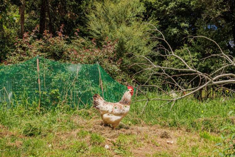 341a Matauri Bay Road Kaeo_29