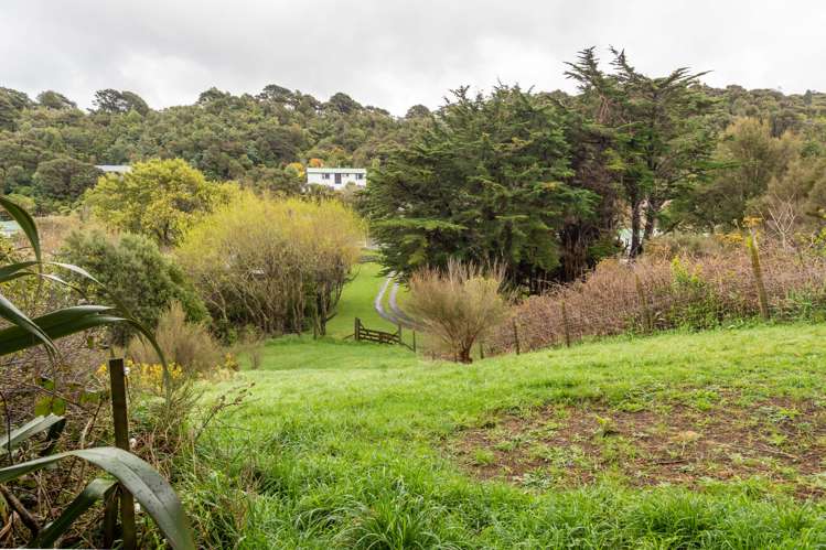 100 Hair Street Wainuiomata_25