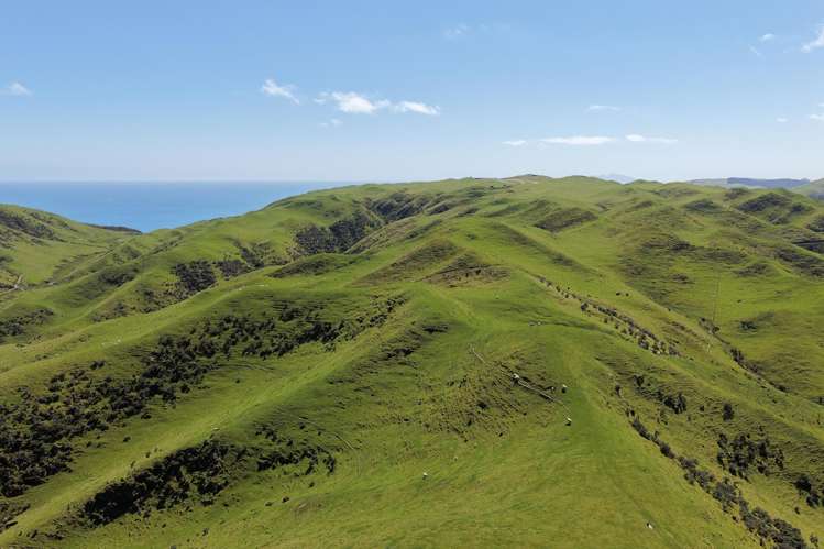 309 - 317 Boomrock Road Ohariu_18